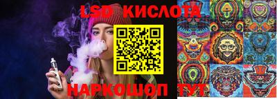 эйфоретик Шебекино
