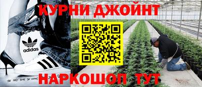 эйфоретик Шебекино