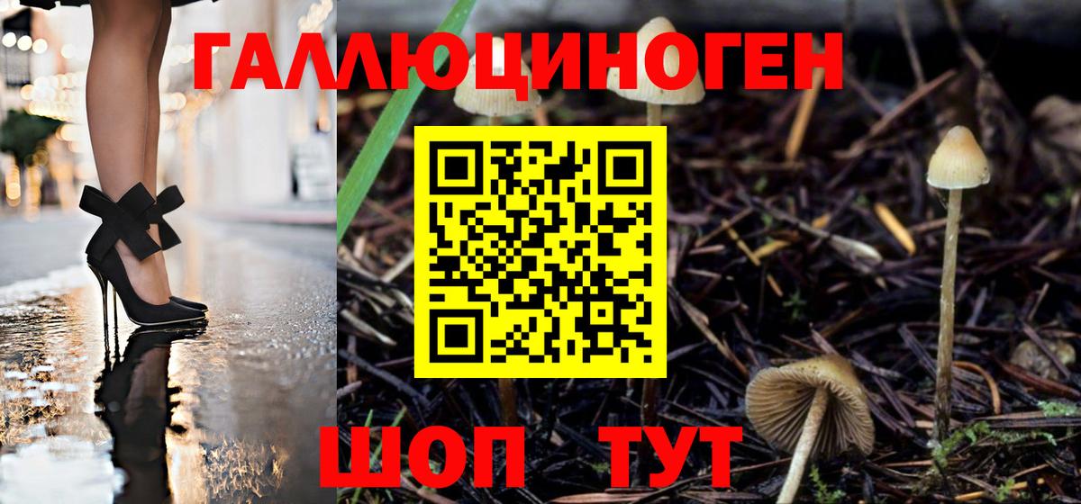 наркота  Псилоцибиновые грибы Magic Shrooms  Астрахань  Вход с VPN  Псилоцибиновые грибы мухоморы 